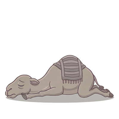 Sabr the Camel collapsed