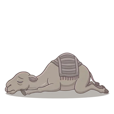 Sabr collapsed