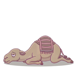 Sabr the Camel struggling
