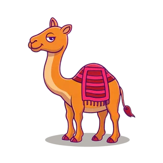 Sabr the camel, thriving
